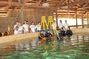 CUSTOM Tile Installation System Swims with the Sharks