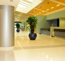 Custom Delivers High-Performance For A Florida Beach Airport