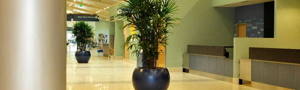 Custom Delivers High-Performance For A Florida Beach Airport